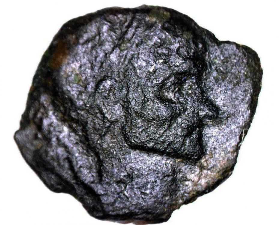 74129a.jpg