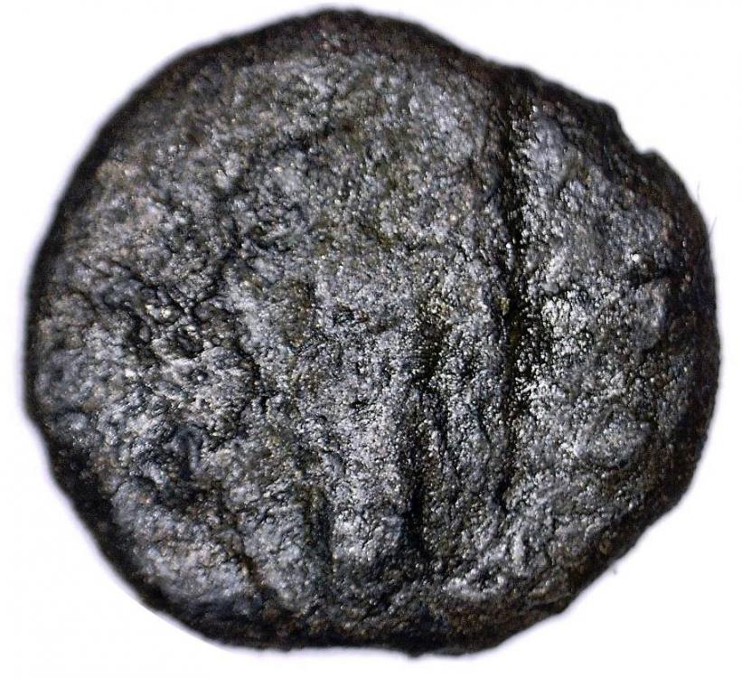74132b.jpg