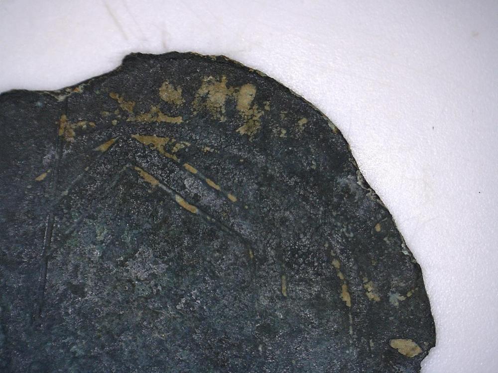 22712144242303.jpg
