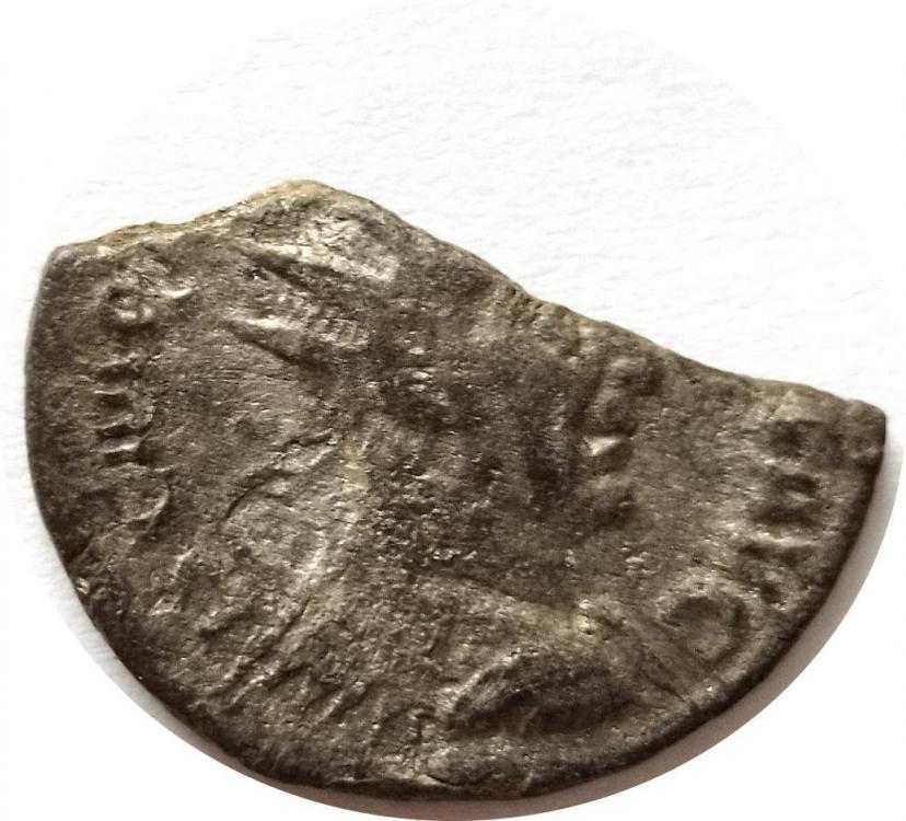 74212b.jpg