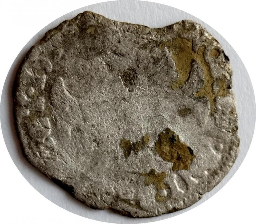 74215b.jpg