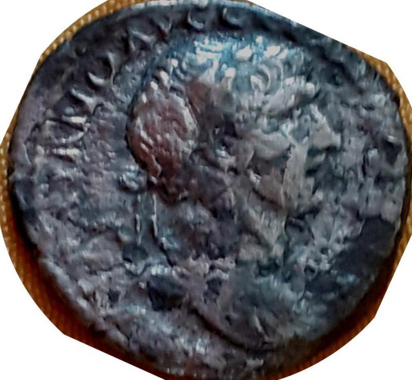 74527a.jpg