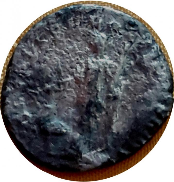74527b.jpg