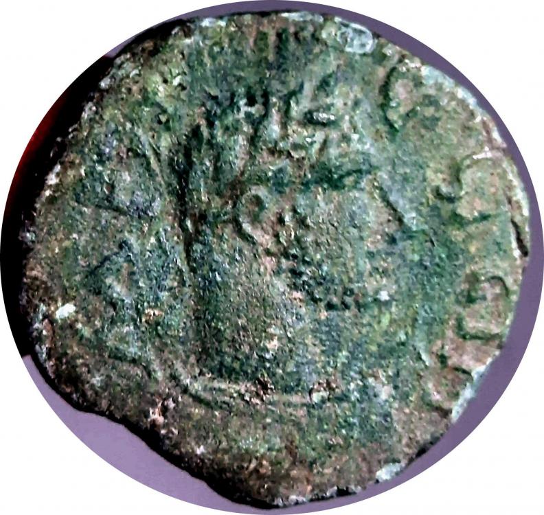 74956a.jpg
