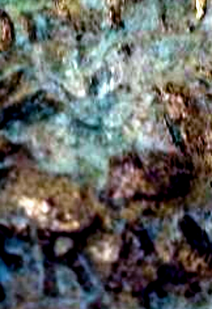 image.png.61170537e71aba2cf4b23e0d14a8087f.png