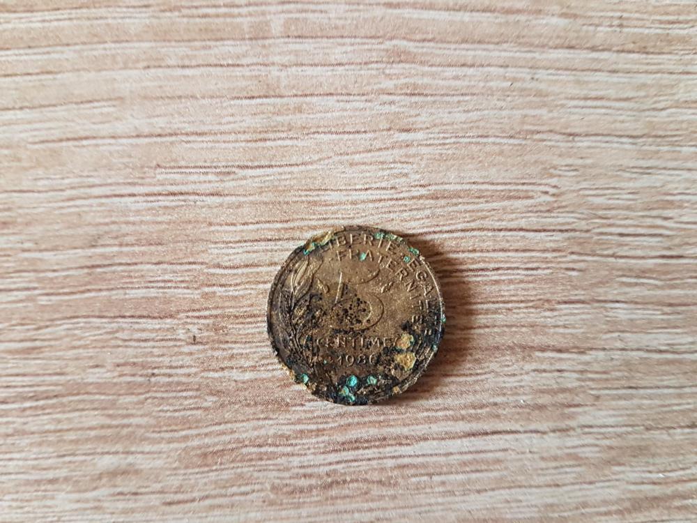 5 Cts Revers.jpg