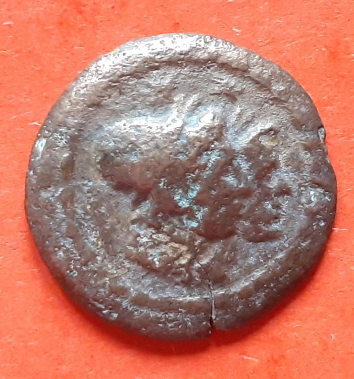 20230424_172000.jpg