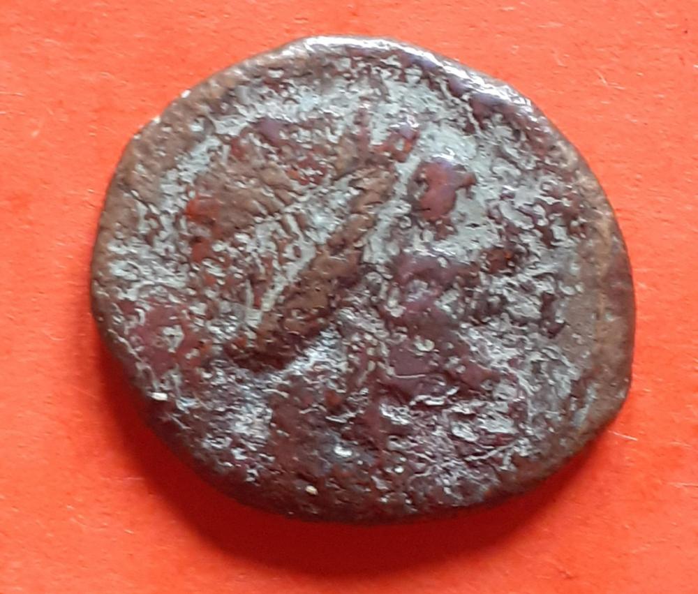 20230426_172703.jpg