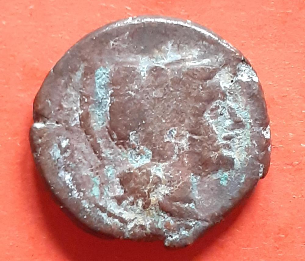 20230426_172804.jpg