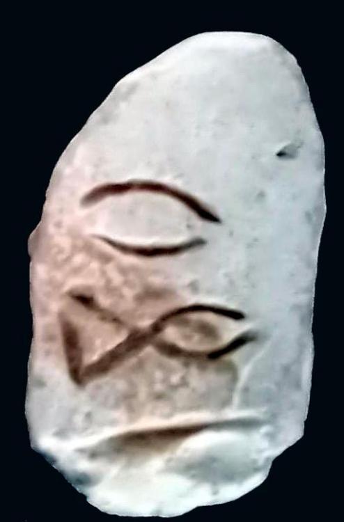 75218b.jpg