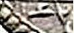 683136486_Monhel2a.jpg.8a8d28ce58d6cfd7898318e0aa3bdded.jpg