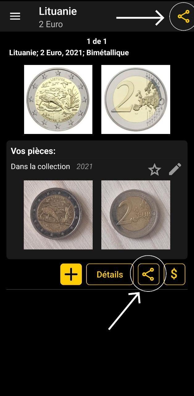 Quel matériel pour commencer la numismatique ?