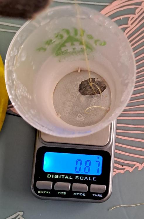 20230918_095554.jpeg
