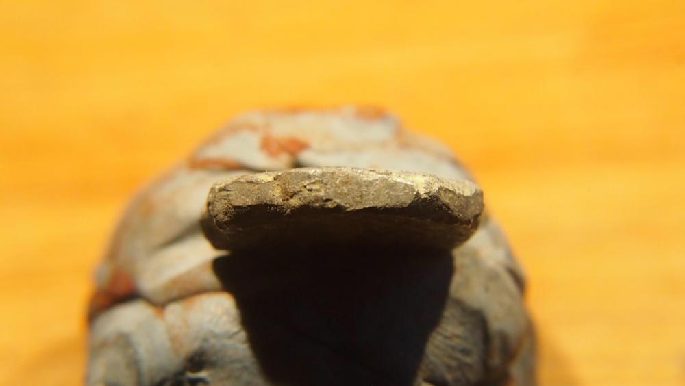 P1014651.JPG
