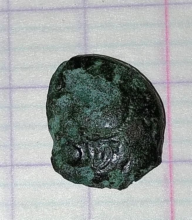 20231114_190914.jpg
