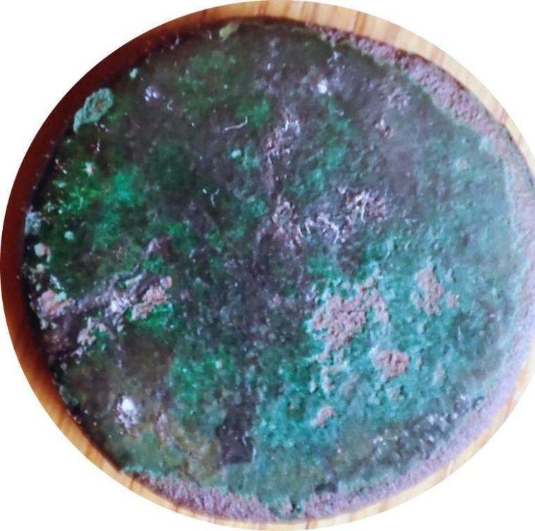 76141b.jpg