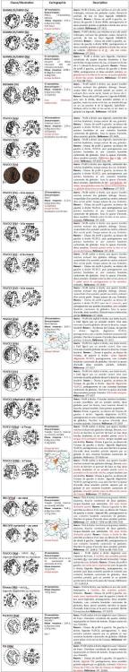 3Classificationdesbronzes.thumb.jpg.26290e2587ddc5496a0ee1ef5aa13dc4.jpg