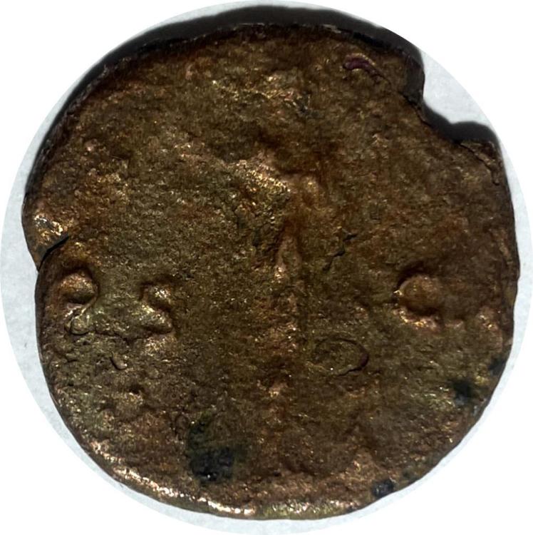 76170d.jpg