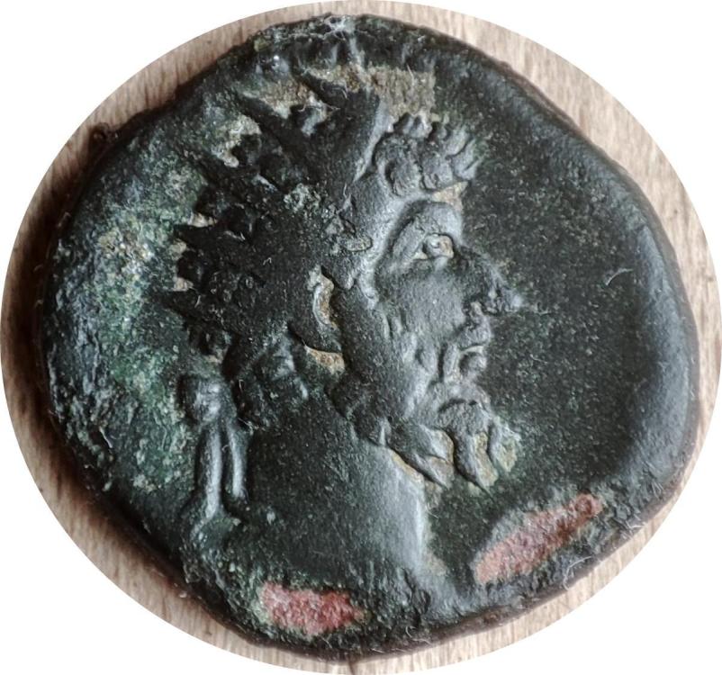 77072a.jpg