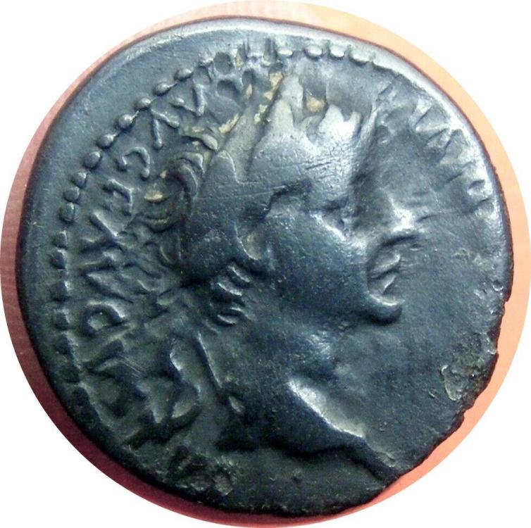 77155a.jpg