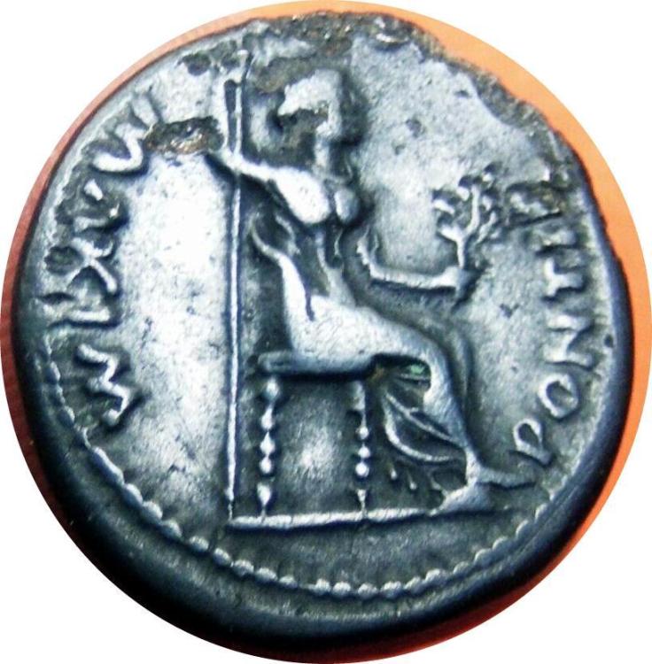 77155b.jpg