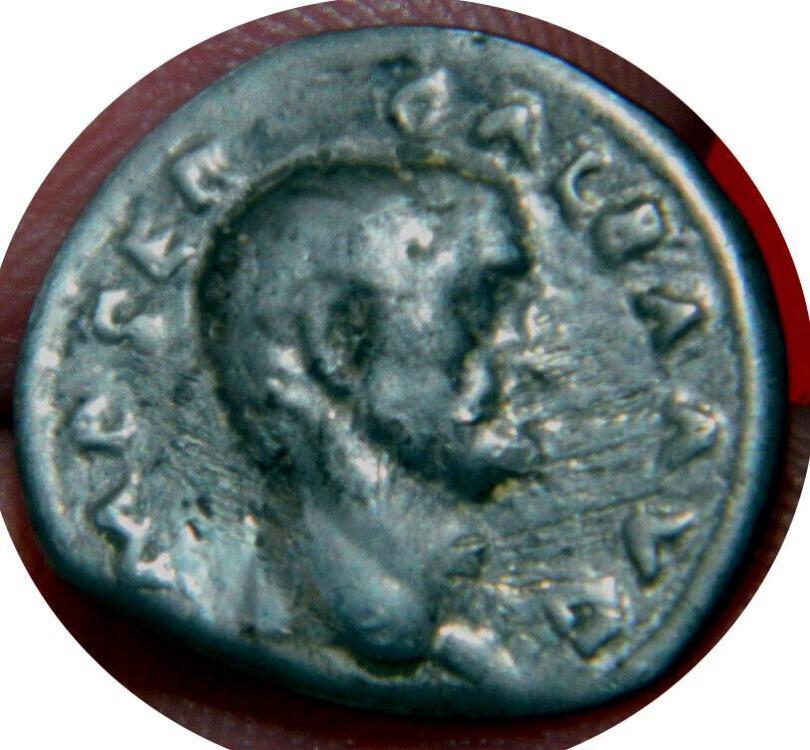 77339a.jpg