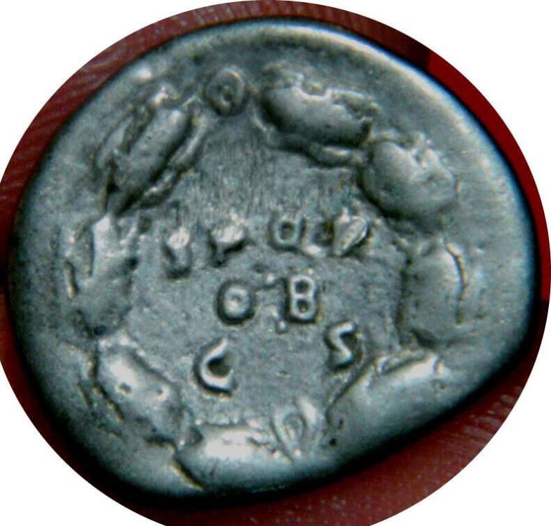 77339b.jpg