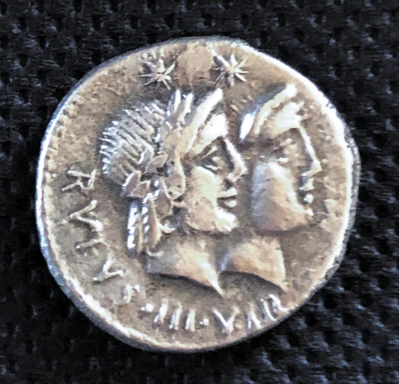 275 AVERS 2.jpg