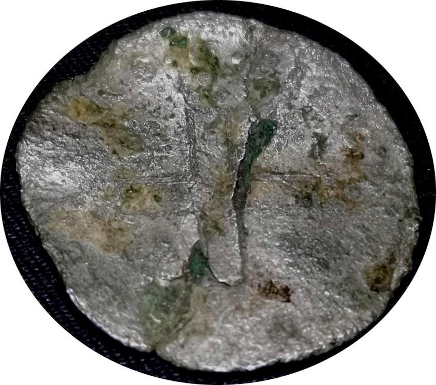 77653b.jpg