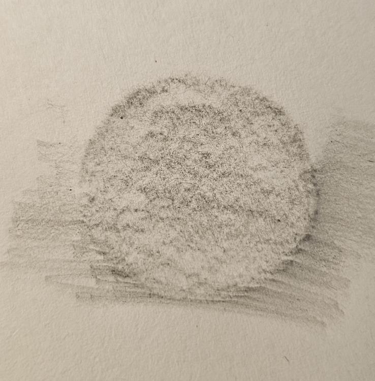 20240927_163028.jpg
