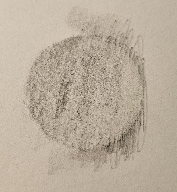 20240927_163047.jpg