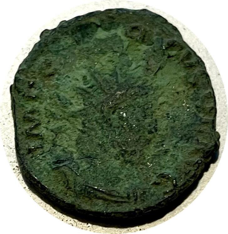 78666a.jpg