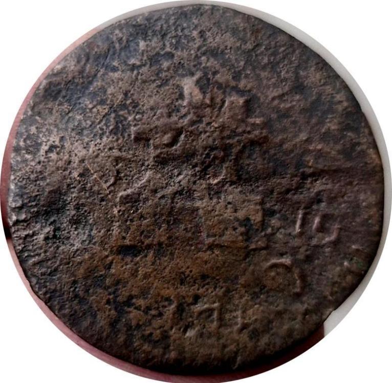 79735a.jpg