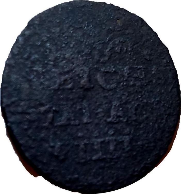 79782a.jpg