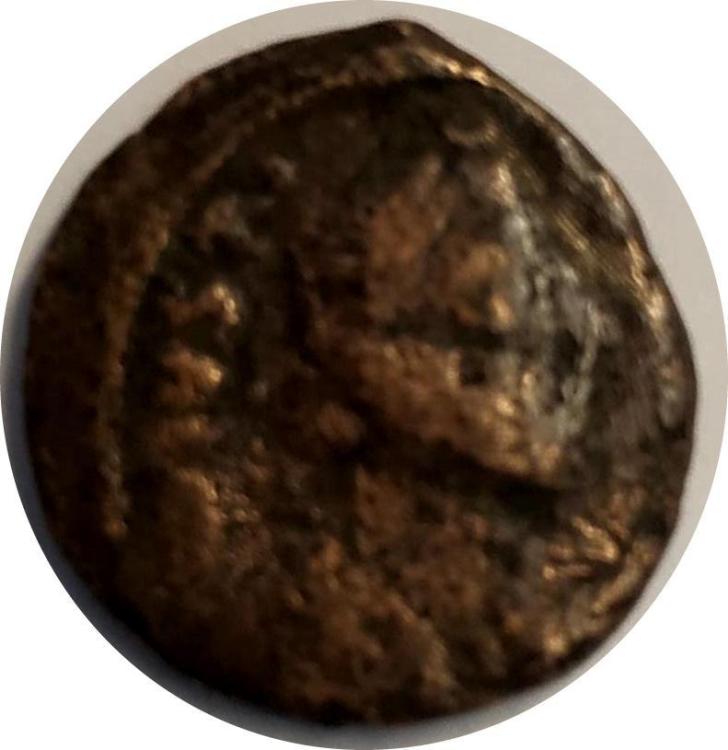 80369a.jpg