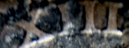 image.png.ad3eb7545e392e25a2c727993074ead0.png