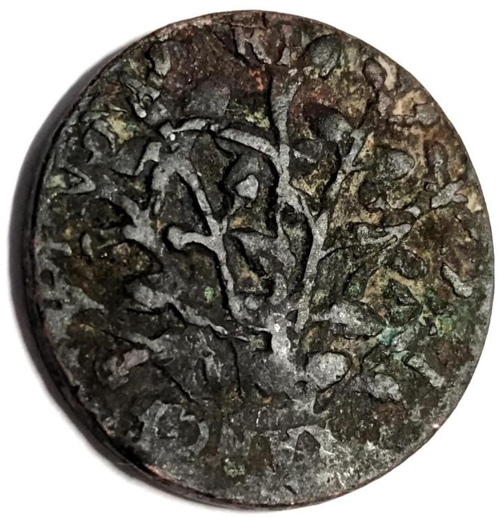 83096b.jpg
