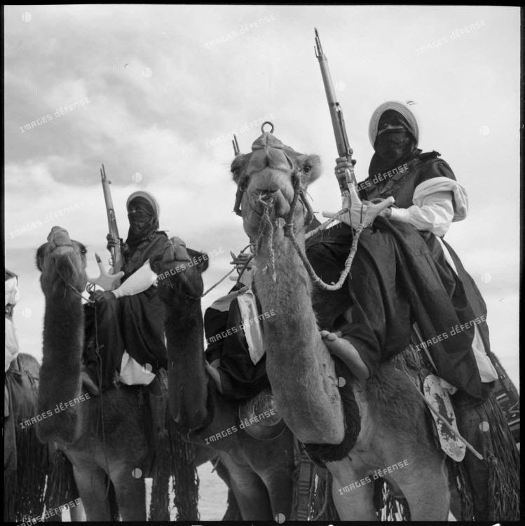 Lec Compagnies méharistes en Algérie 1954 1962.jpg