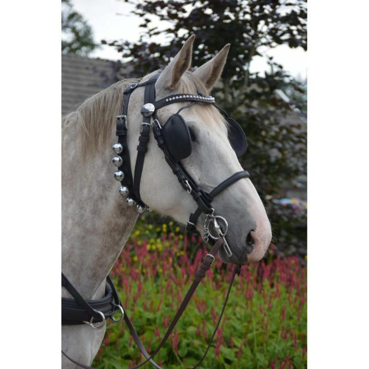 grelottierechevaux.thumb.jpg.f0f074aabac53773e7998c6f872b2d00.jpg