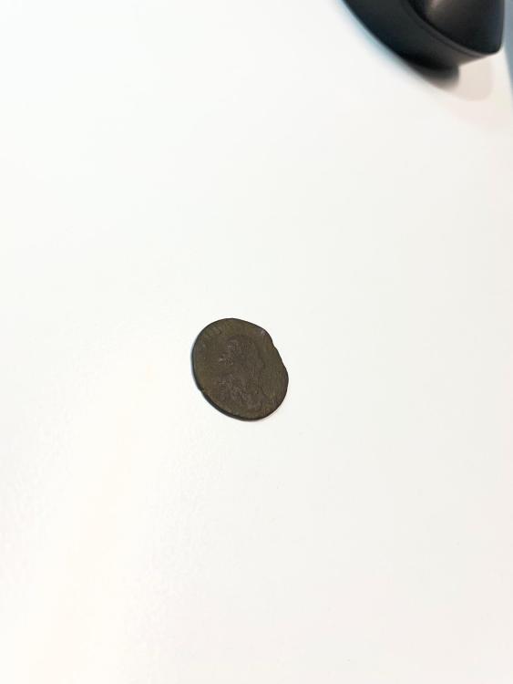 IMG_5231.jpeg