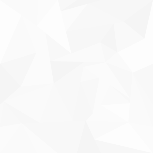 005d20f304c7929cbfdb3fe61d088022_pattern